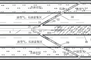 煤、油、气共生煤矿瓦斯、油型气、石油灾害防治结构