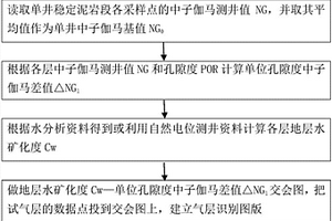 基于物性和地层水矿化度校正的中子伽马气层识别方法