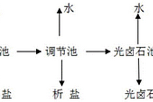 从盐湖矿区提取的营养型绿色食用盐及其提取方法