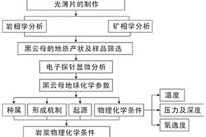 岩石黑云母化形成条件的综合量化方法