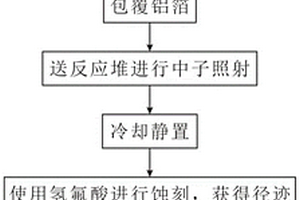 基于诱发裂变径迹的铀元素赋存状态的识别方法