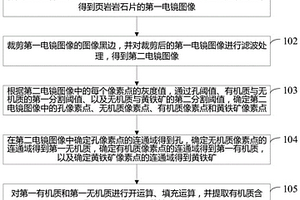 页岩岩石的处理方法及装置