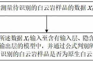 识别原生白云岩的方法