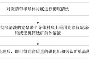 宽禁带半导体衬底上旋涂单晶的生长方法