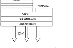 检测NO<sub>2</sub>气体的方法