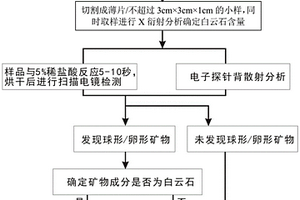 白云岩或松散沉积物微生物成因确定方法
