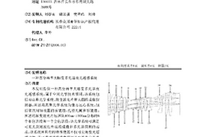 高分辨率大幅宽多光谱夜光遥感系统
