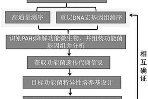 利用反向SIP-宏基因组学分离原位功能微生物方法