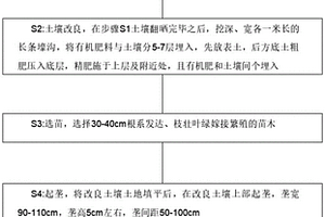 红公主高产栽培方法
