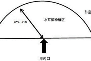 水芹菜净水方法