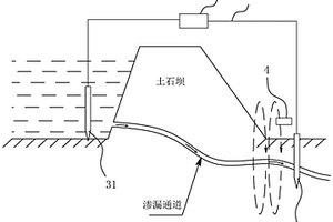 土石坝渗漏隐患探测定向处理系统和方法