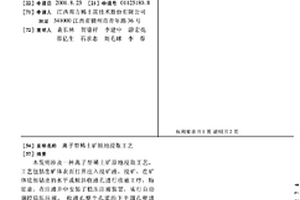 离子型稀土矿原地浸取工艺