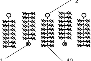 天然气水合物排式水平井化学驱开采的方法