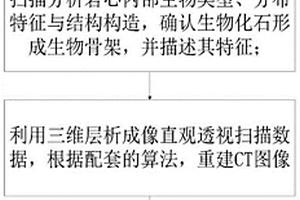 基于三维层析成像的藻礁白云岩判别与物性分析方法
