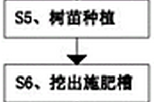 沃柑的高密度种植方法