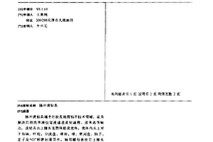 脉冲流钻具