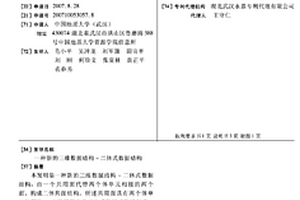 新的三维数据结构-二体式数据结构