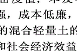 作为回填料的混合轻量土的密度确定方法