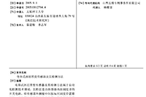 电容式冰层厚度传感器及其检测方法