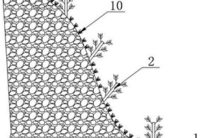 生态护岸结构