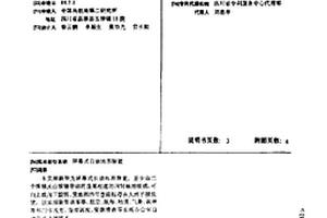 屏幕式自动地图装置