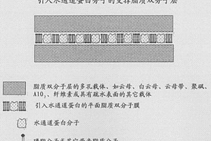 用于过滤水的膜