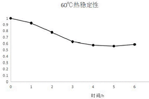 一株异源表达耐热腈水合酶的大肠杆菌重组菌及其应用