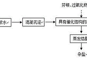 RO浓水的零排放深度处理工艺