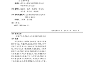煤矿分布式地下水库水资源的净化方法