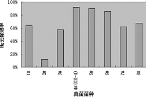 真菌菌株GX-4及其在含汞废水处理中的用途