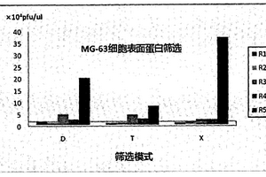 MMP14双靶点高效结合肽及多肽结构序列的获取和用途