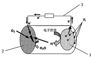 光燃料电池