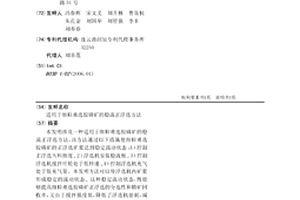 适用于细粒难选胶磷矿的稳流正浮选方法