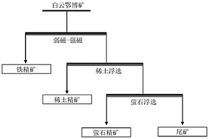 高梯度超导磁选提高白云鄂博矿萤石精矿及稀土精矿品位的方法