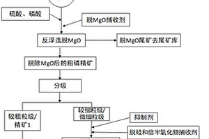 制备高品质磷精矿的方法