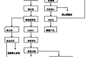 以磷块岩矿为原料湿法制取磷酸及从中提取稀土的工艺方法