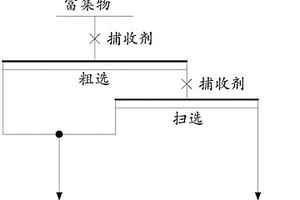 实现锆石和黄玉分离的浮选捕收剂及其应用