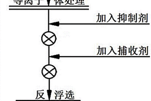 等离子体强化低阶煤泥反浮选脱灰的方法