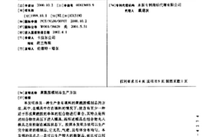 聚酰胺模制品生产方法