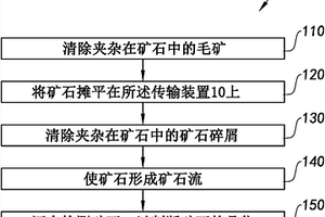 检测装置和带有检测装置的矿石分选设备