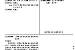 稀土矿物选矿复合捕收剂的合成工艺
