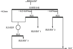 分级跳汰机分选独居石选矿工艺