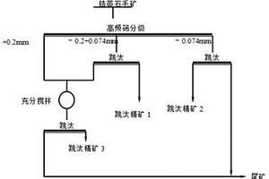 分级跳汰机分选锆英石选矿方法