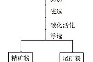 高硅菱镁矿碳化活化选矿技术
