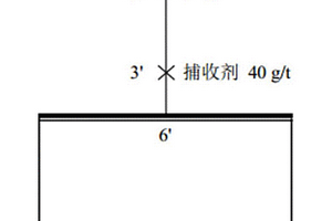 用于矿物浮选的双子星座表面活性剂