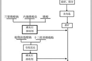 中低品位混合型胶磷矿浮选分离药剂制度及其应用