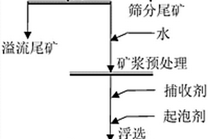 滑石伴生型天然粉石英的提纯方法和粉石英