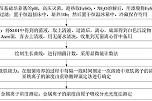 海洋菌浸出低品位硫化矿的方法