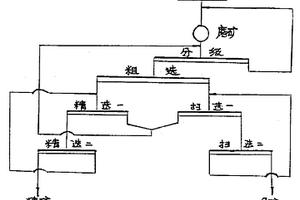中矿选择性分级再磨工艺