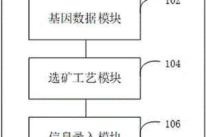 矿物基因与选矿工艺结合的管理系统和方法